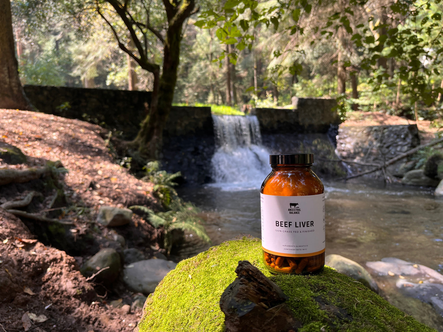 Suplementos a base de hígado y órganos de res de libre pastoreo